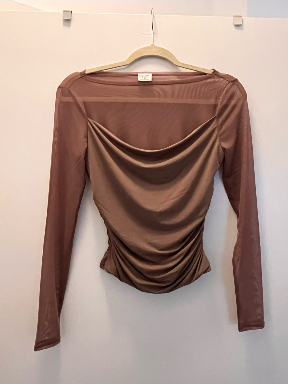 Abercrombie & Fitch Mauve Draped Long Sleeve Sheer Top